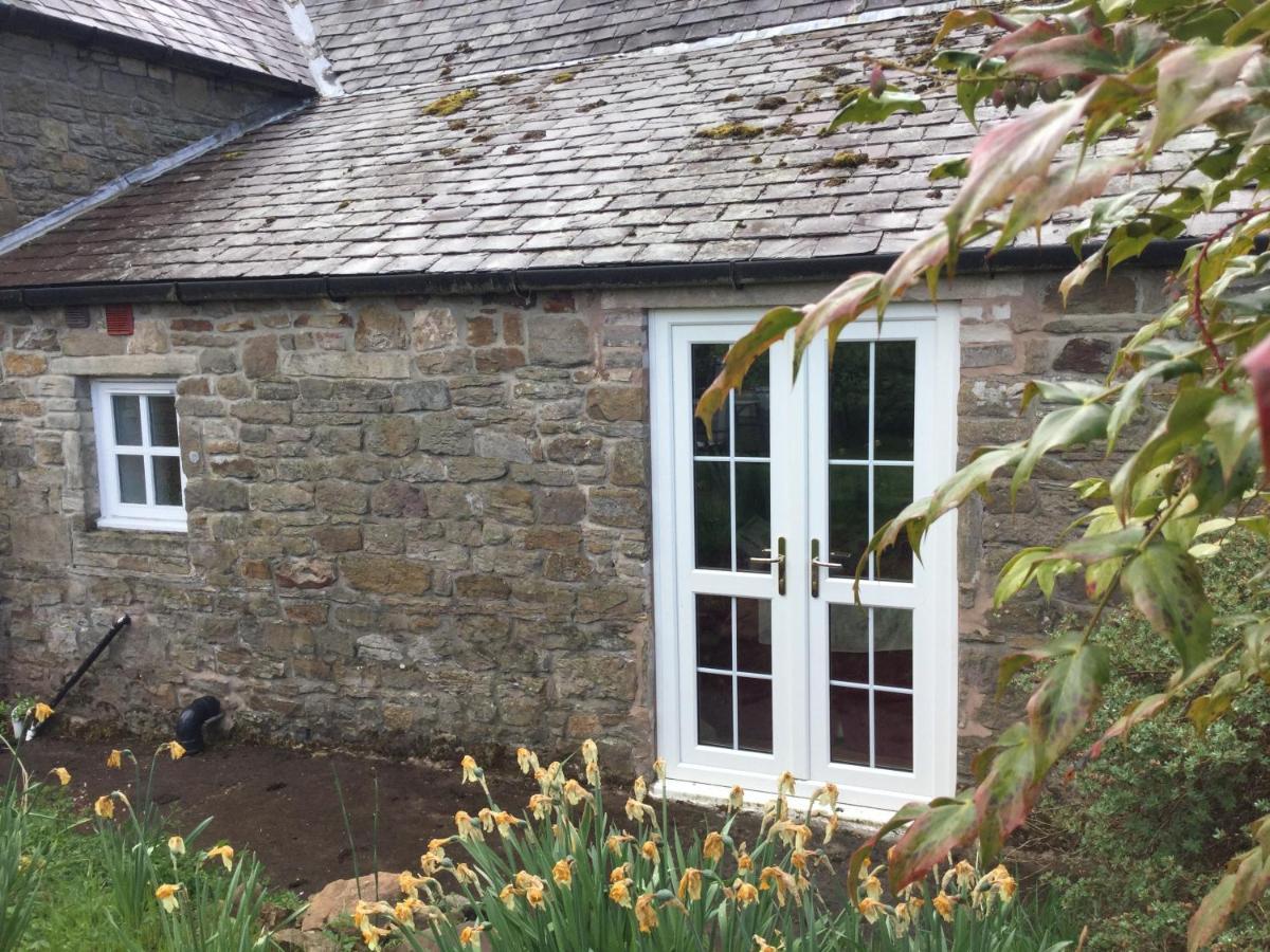 The Snug @ Corry Cottage 霍特惠斯尔 外观 照片
