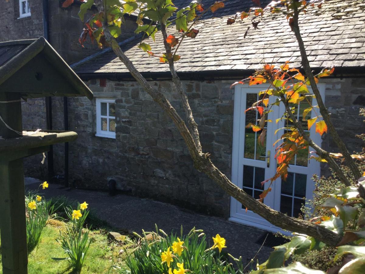 The Snug @ Corry Cottage 霍特惠斯尔 外观 照片